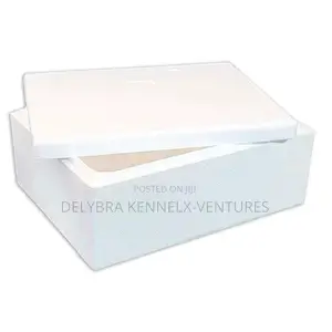 Styrofoam Storage Chest
