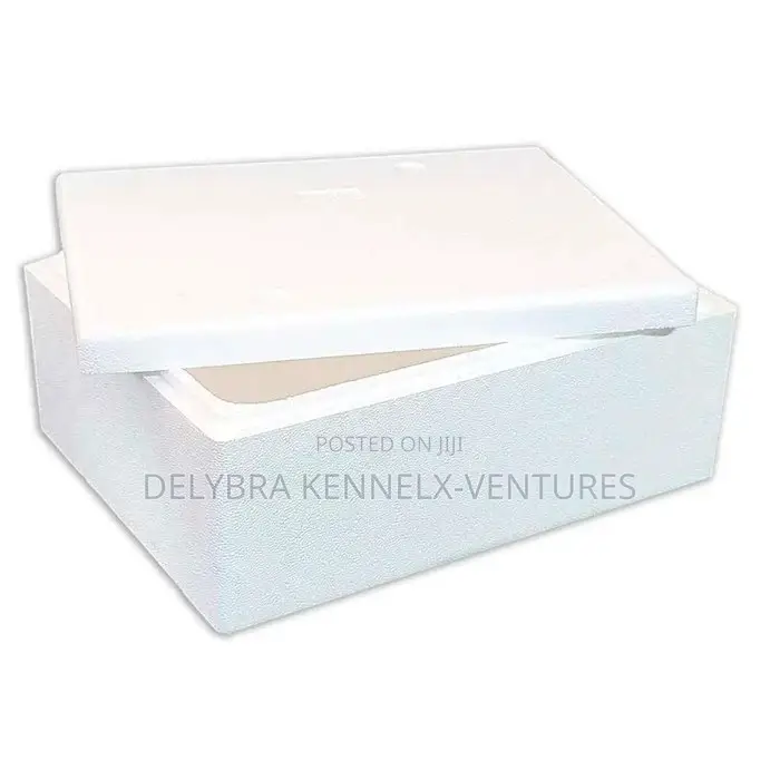 Styrofoam Storage Chest