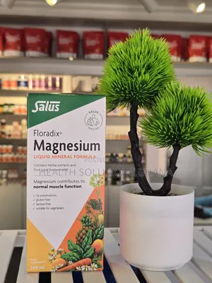 Floradix Magnesium