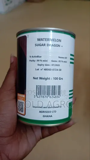 Watermelon Sugar Dragon +