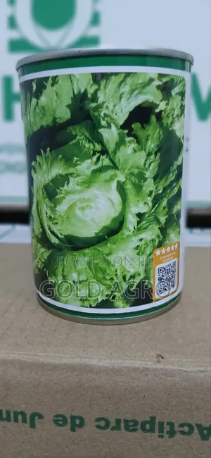 Lettuce Eden