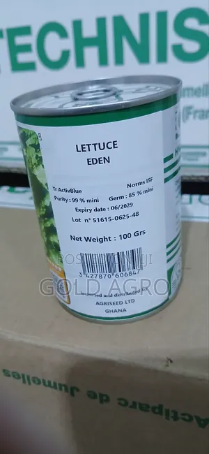 Lettuce Eden