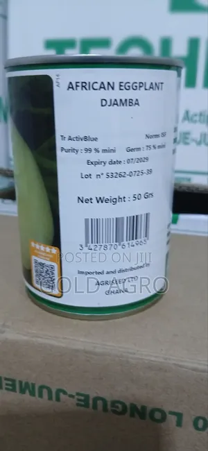 Eggplant Djamba F1