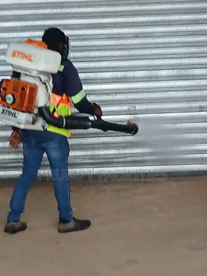 Fumigation Against Bedbugs