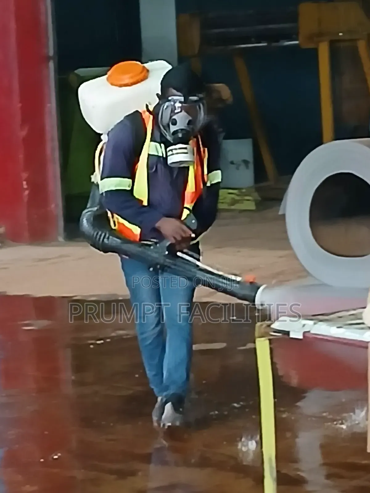 Fumigation Against Bedbugs