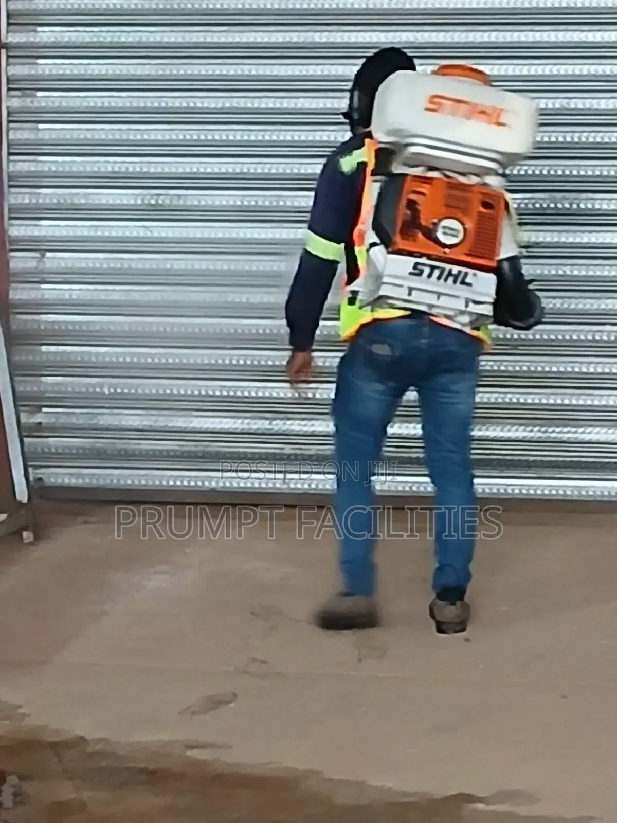 Fumigation Against Bedbugs
