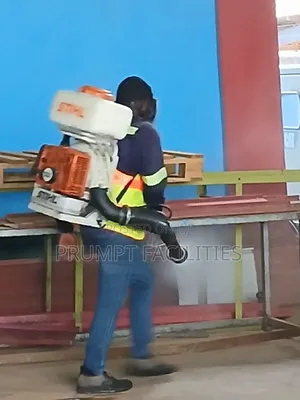 Fumigation Against Bedbugs