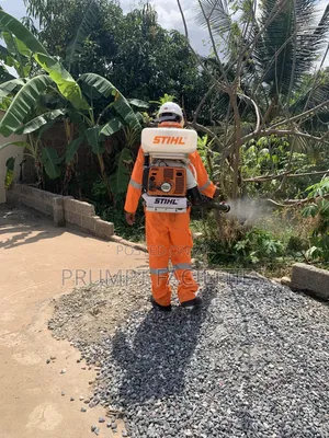 Bedbugs Fumigation