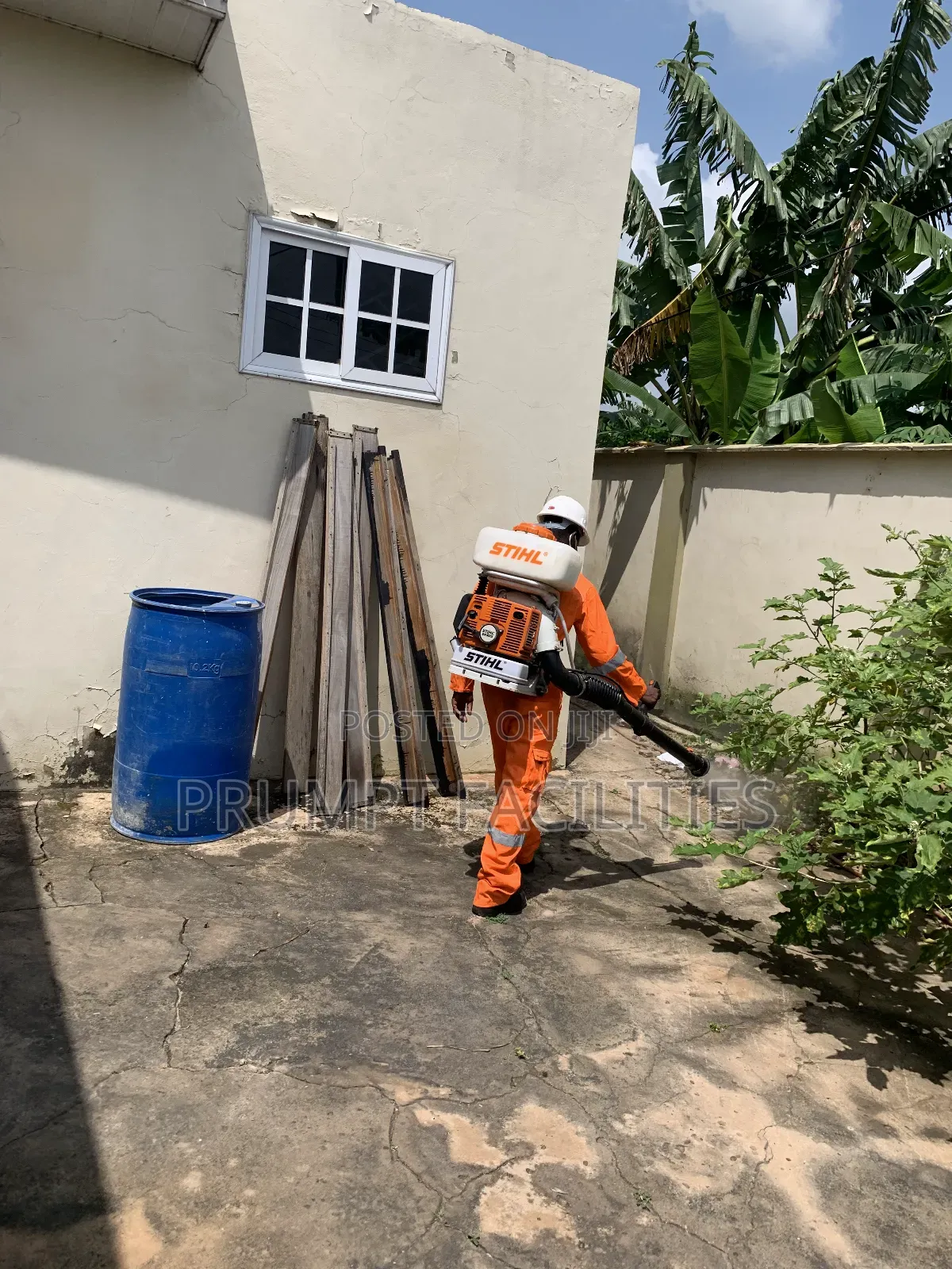 Bedbugs Fumigation