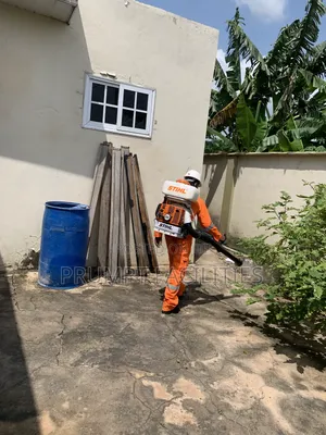 Bedbugs Fumigation