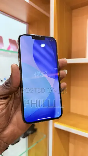 Apple iPhone 13 Pro Max 512 GB Black