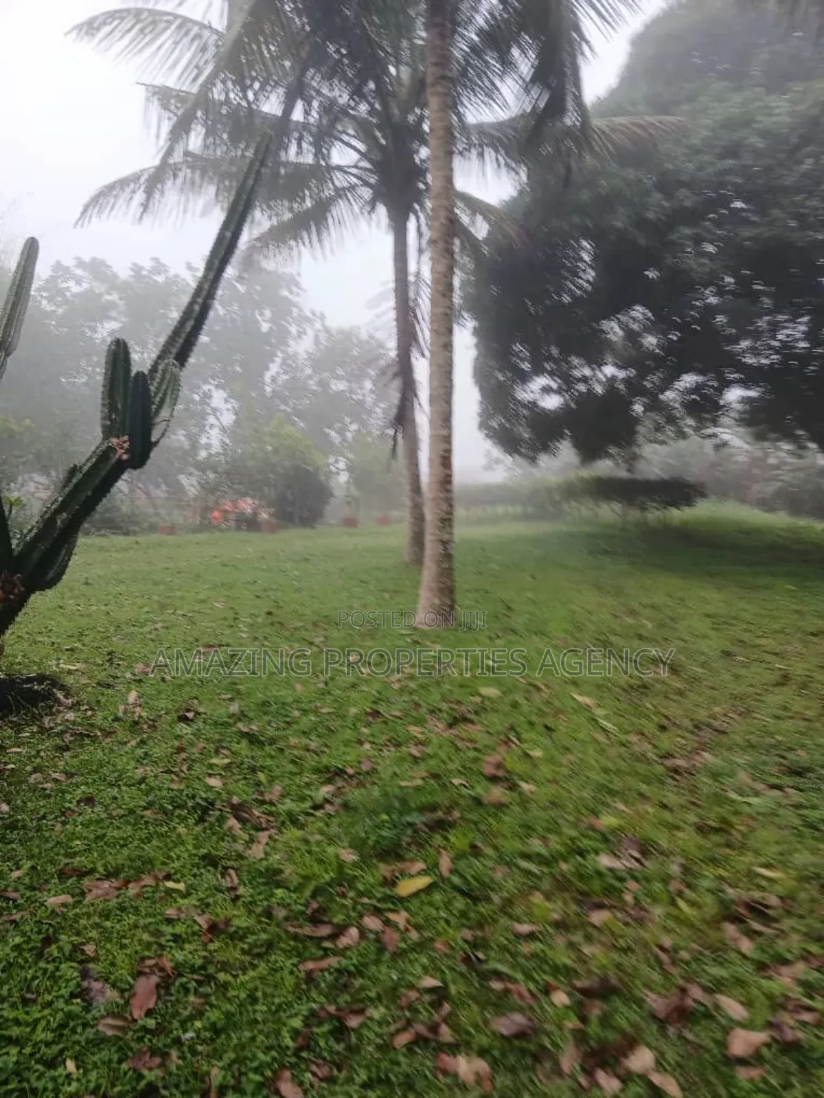 A. 1 Acre Of Main Roadside Land Available For Sale At Dzorwulu,