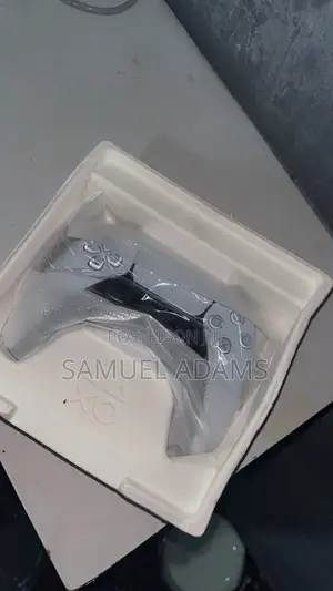 Ps5 Controller