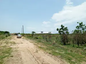 Begin the New Year With a Plot of Land - Prampram