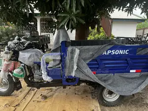 New Apsonic AP150-20 2025 Blue