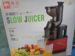 Large Diameter Slow Juicer