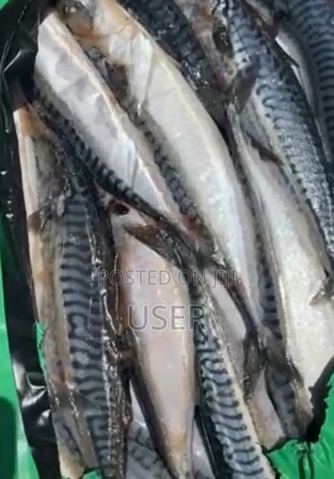 Foreign Salmon (Abidjan) 10kg Boxes