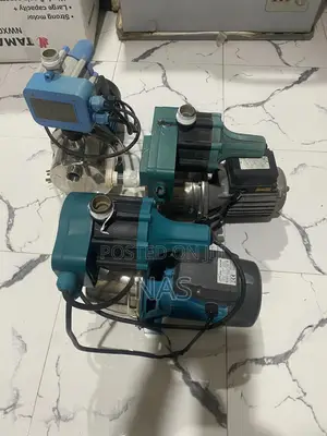 A Complete 1.0 Leo And An Italian Saer Water Pumps