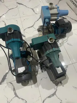 A Complete 1.0 Leo And An Italian Saer Water Pumps