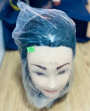 Human Manikin Doll