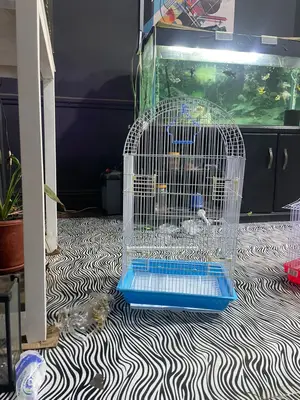 Heavy Round Long Parrot Cage