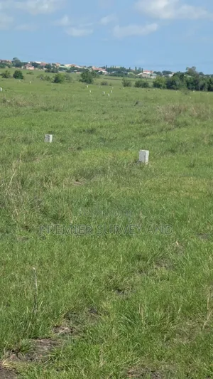Expert in Land Survey