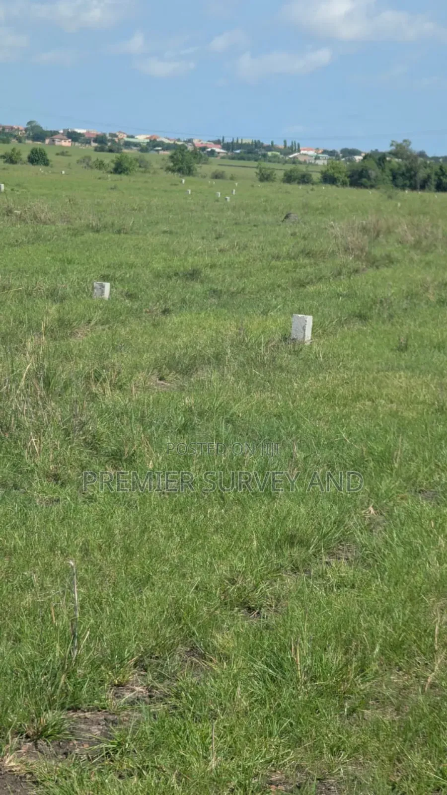 Expert in Land Survey