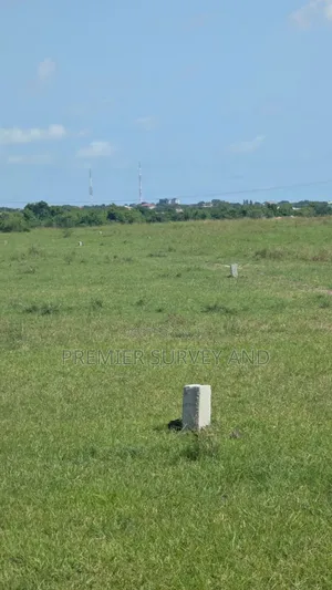 Expert in Land Survey