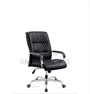 Home and Office Executive Chair