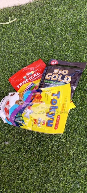 Food for Aquarium Fishes