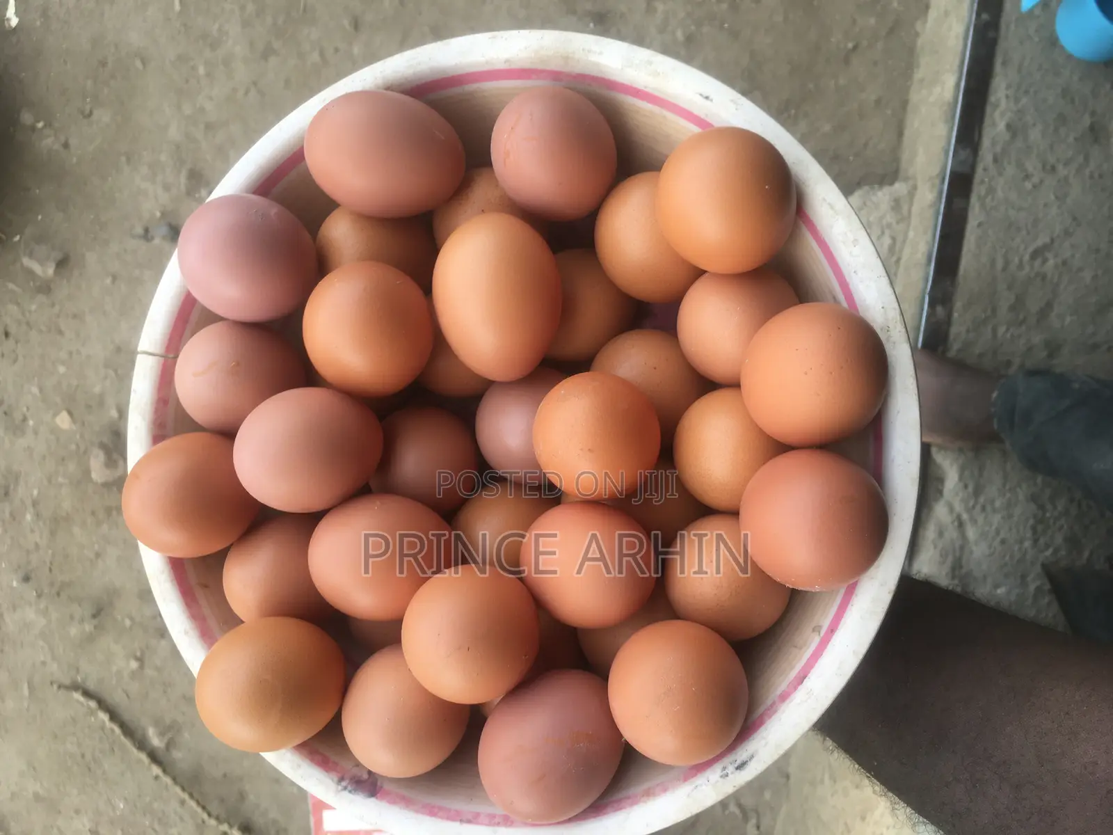 Eggs Available