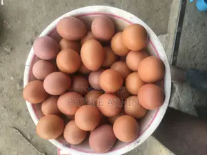 Eggs Available