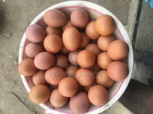 Eggs Available