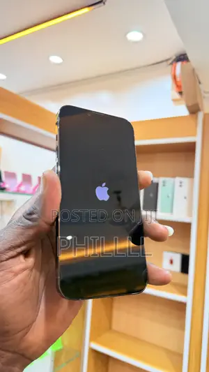Apple iPhone 13 Pro Max 256 GB Green