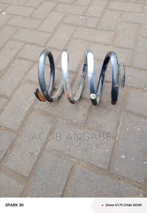 Toyota Fish Coil Spring