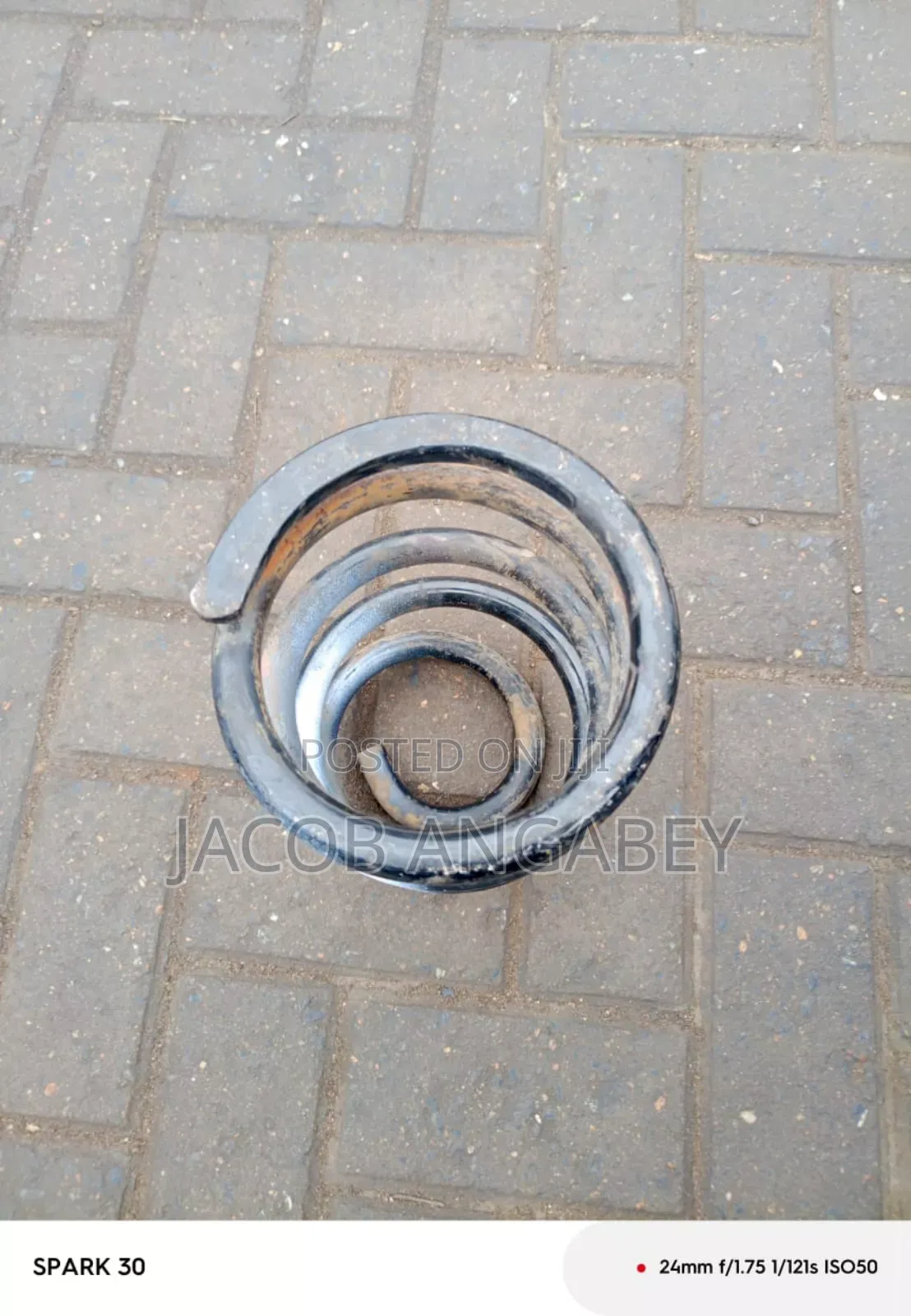 Toyota Fish Coil Spring
