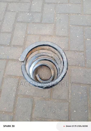 Toyota Fish Coil Spring