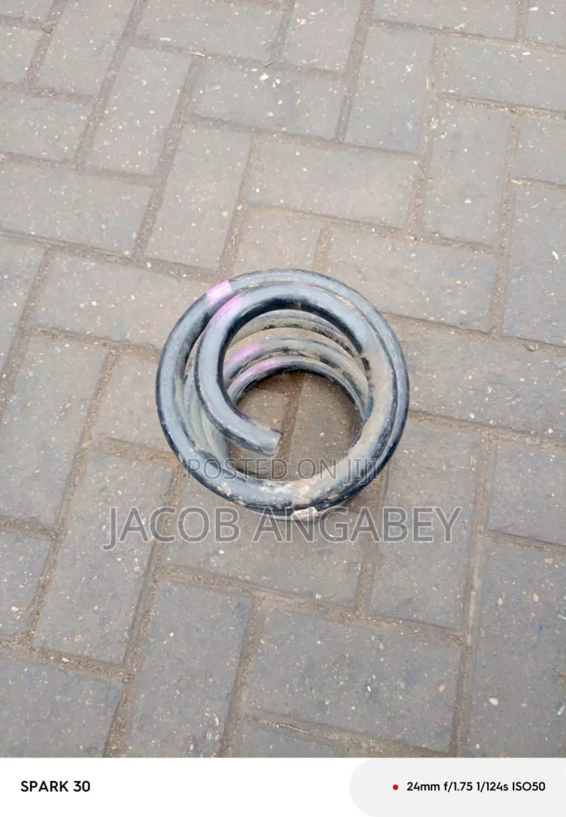 Toyota Fish Coil Spring