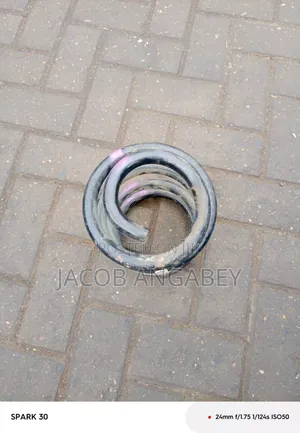 Toyota Fish Coil Spring