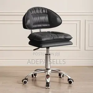 Salon Chair