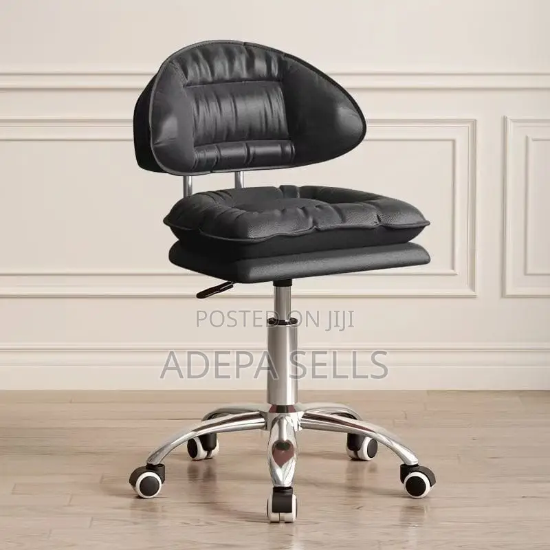 Salon Chair