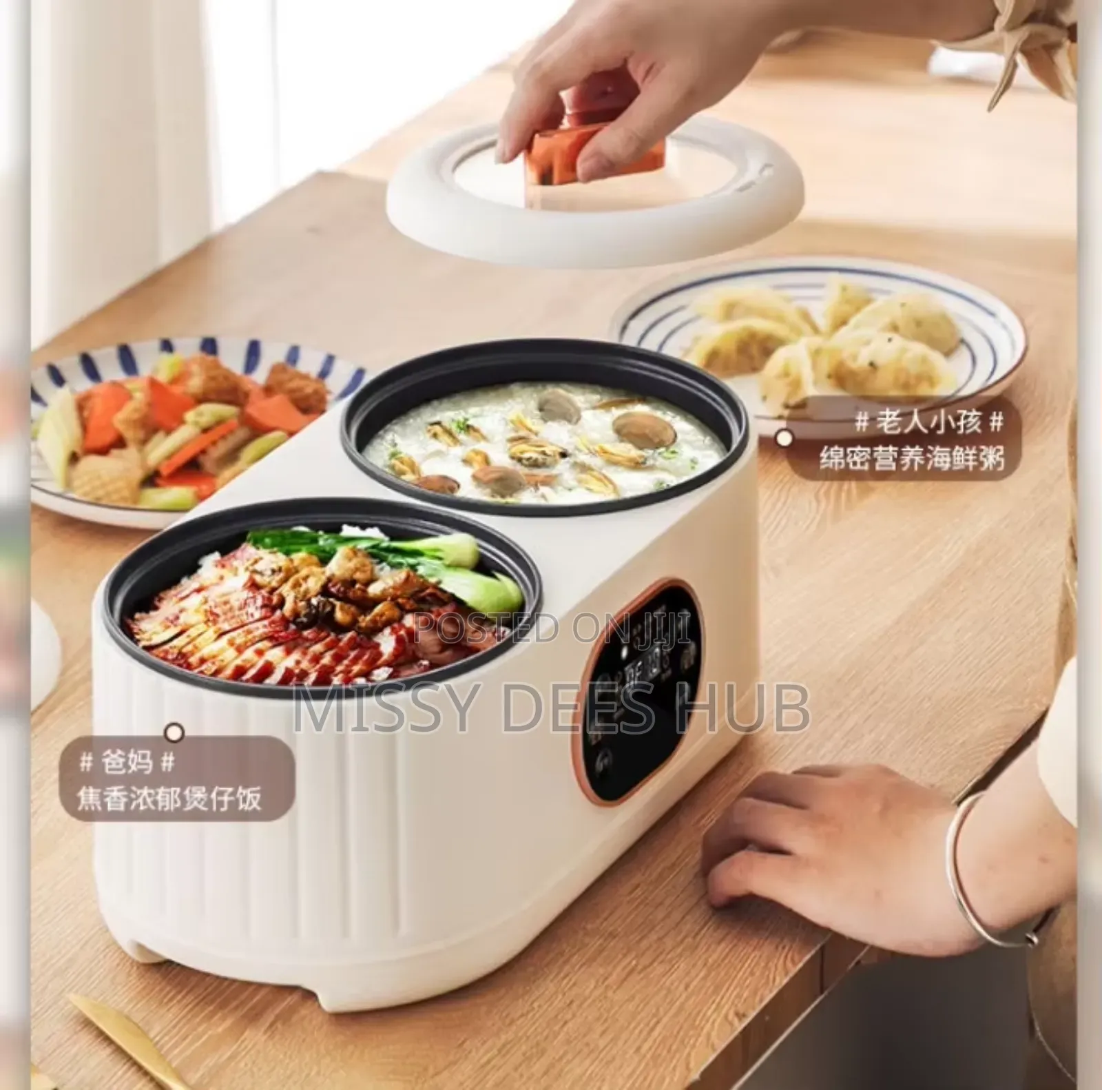 2in1 Rice Cooker