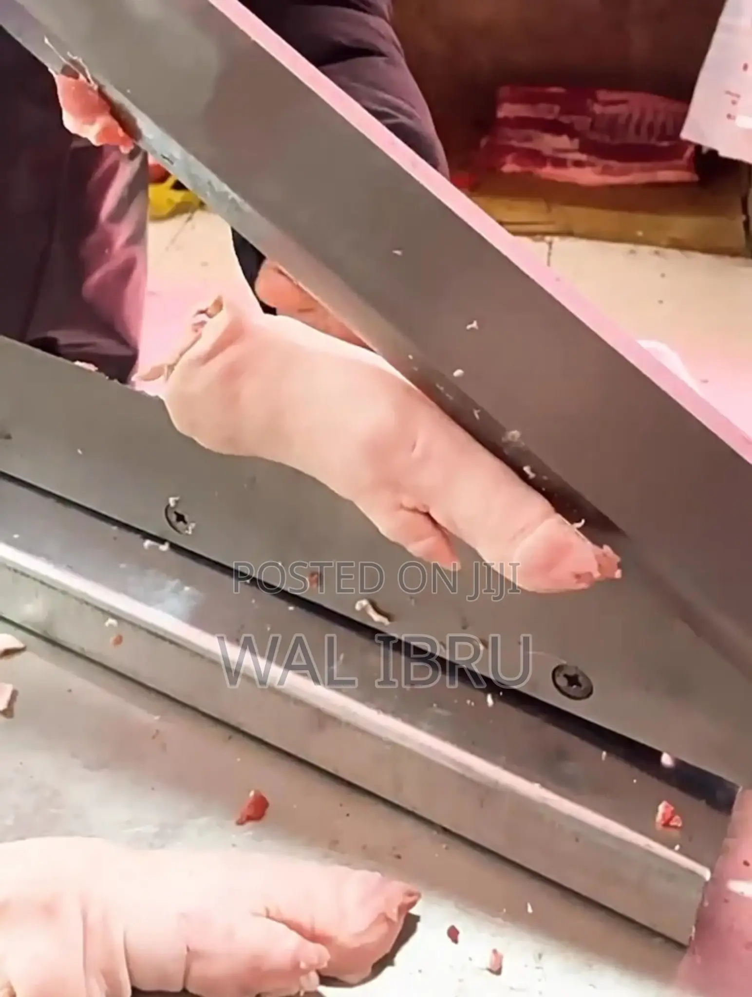 Guillotine Bone and Meat Cutter