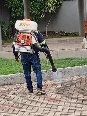 Bedbugs Fumigation