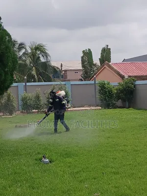 Bedbugs Fumigation