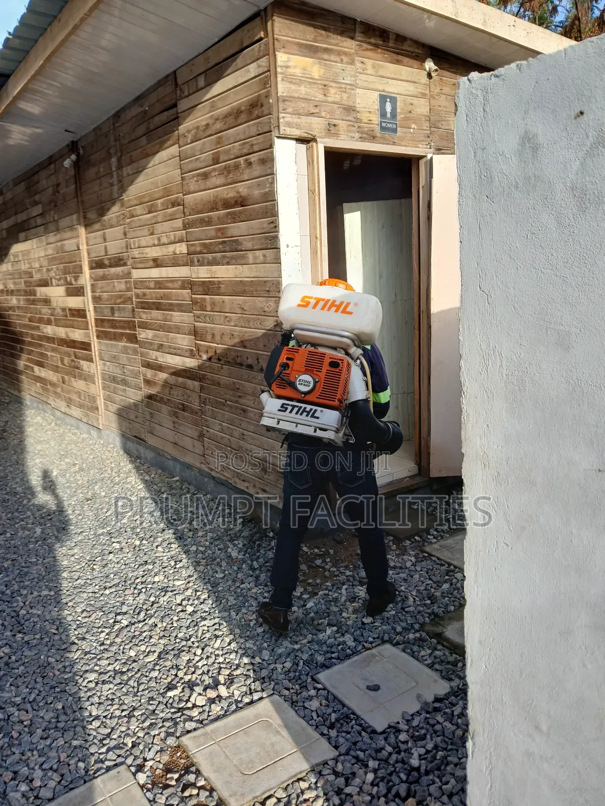Bedbugs Fumigation
