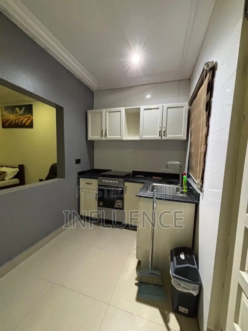 Furnished 1bdrm Apartment in East Legon for rent