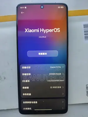 Xiaomi 13 Pro 256 GB Black