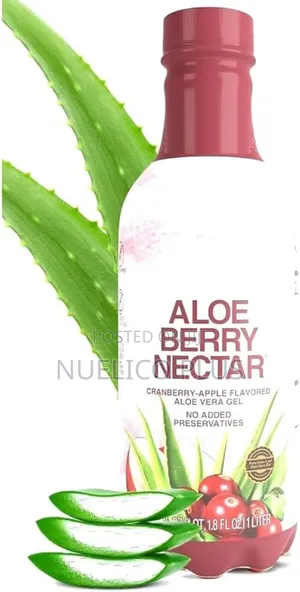 Aloe Vera Berry Drink for Digestion Immunity