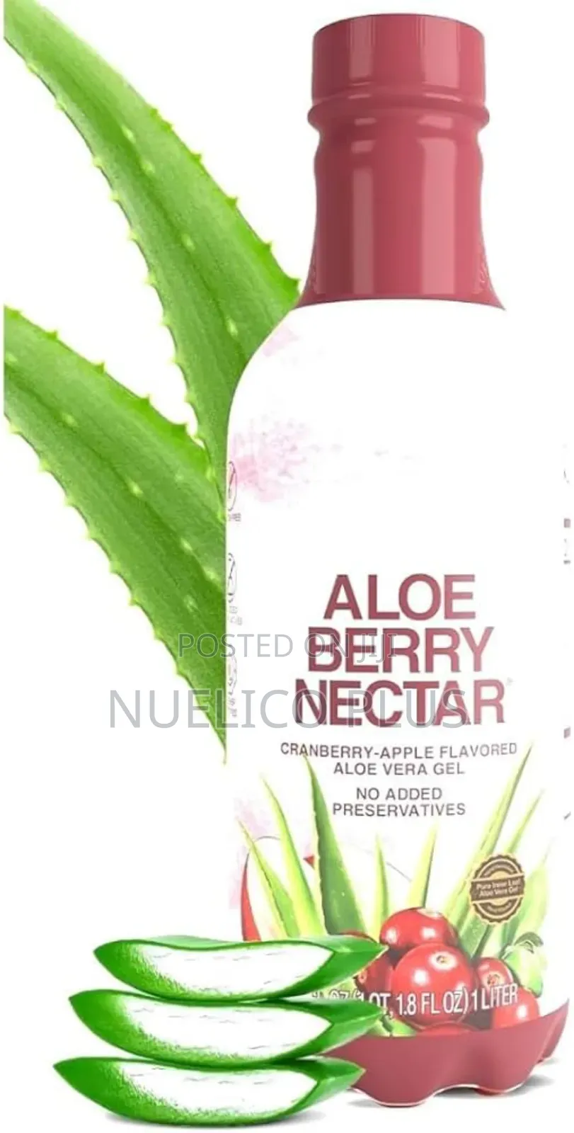 Aloe Vera Berry Drink for Digestion Immunity